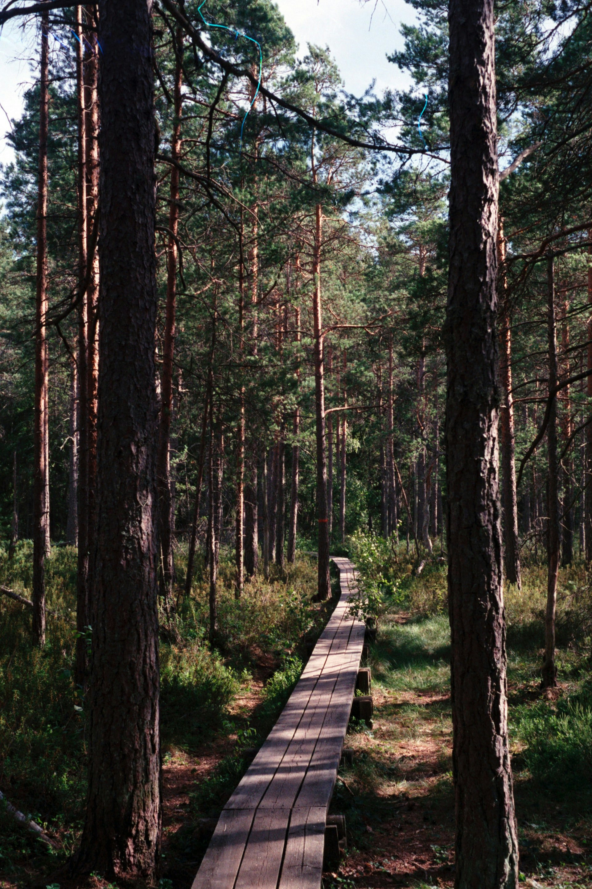 best trails in sweden