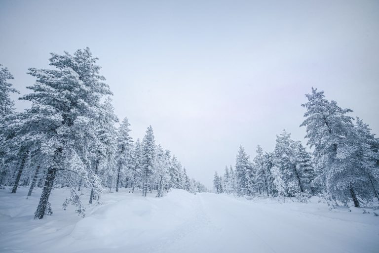 Yllas, Finland (Lapland)