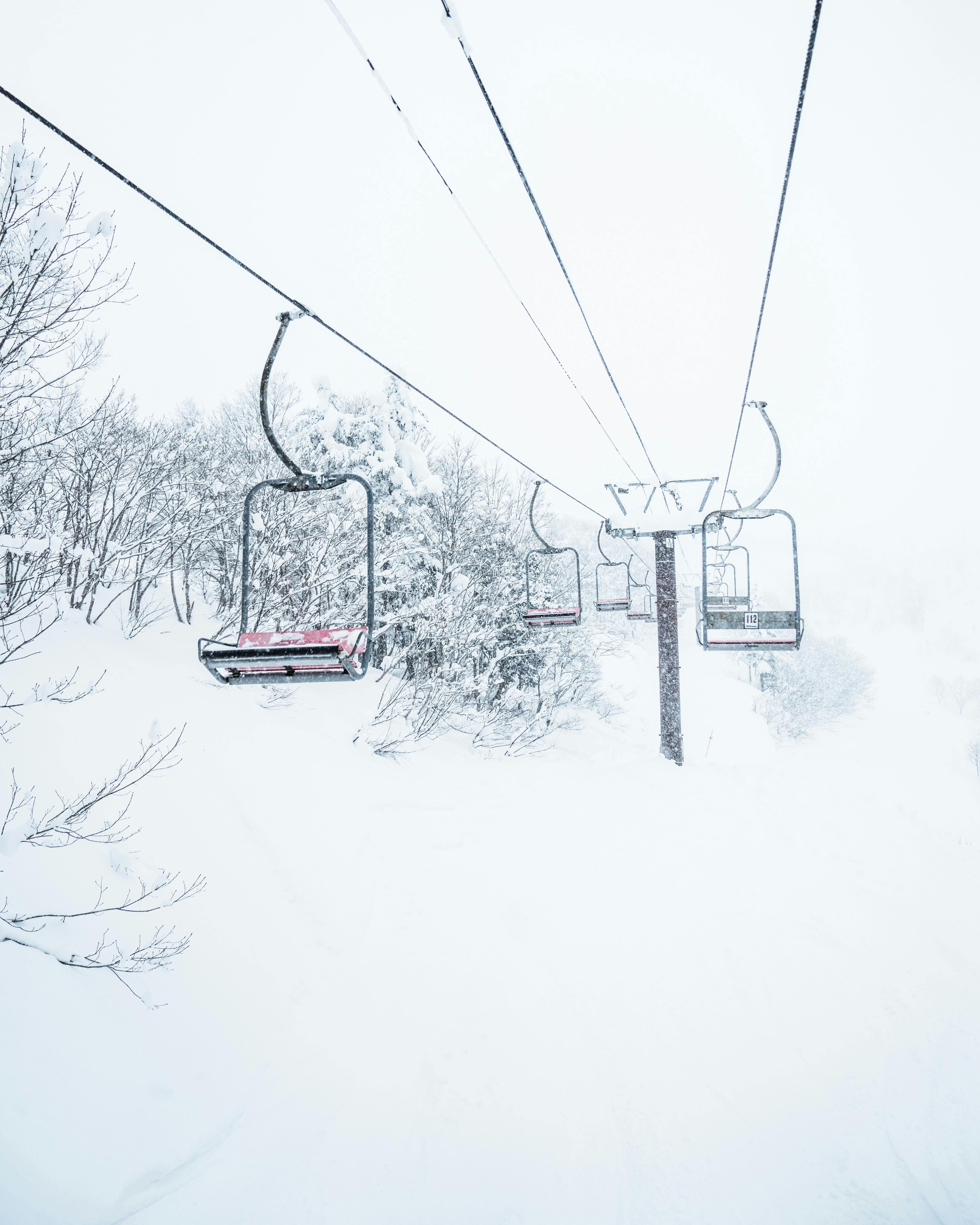skiing in japan