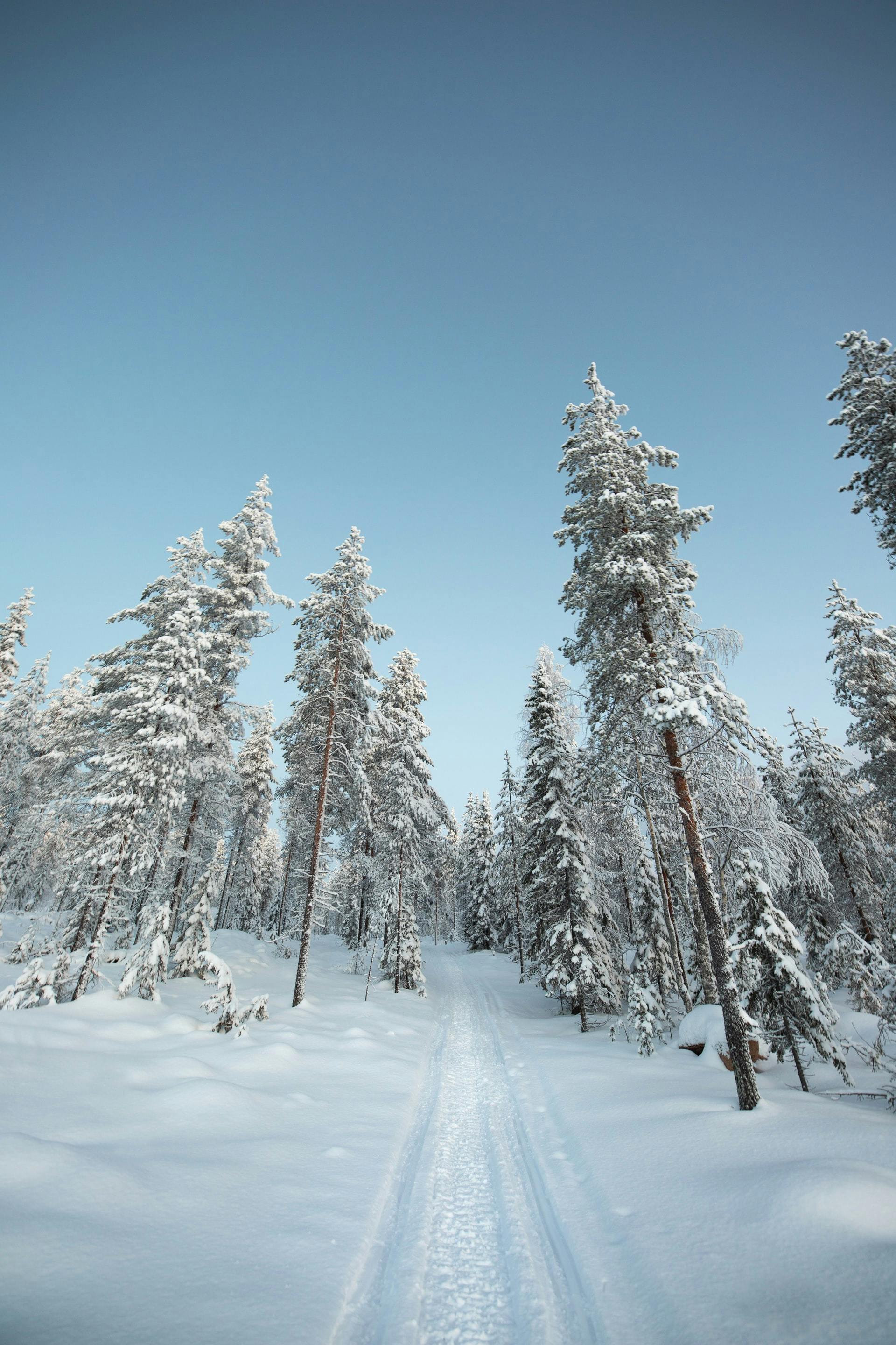 Lapplands Skigebiete & wie man sich fortbewegt