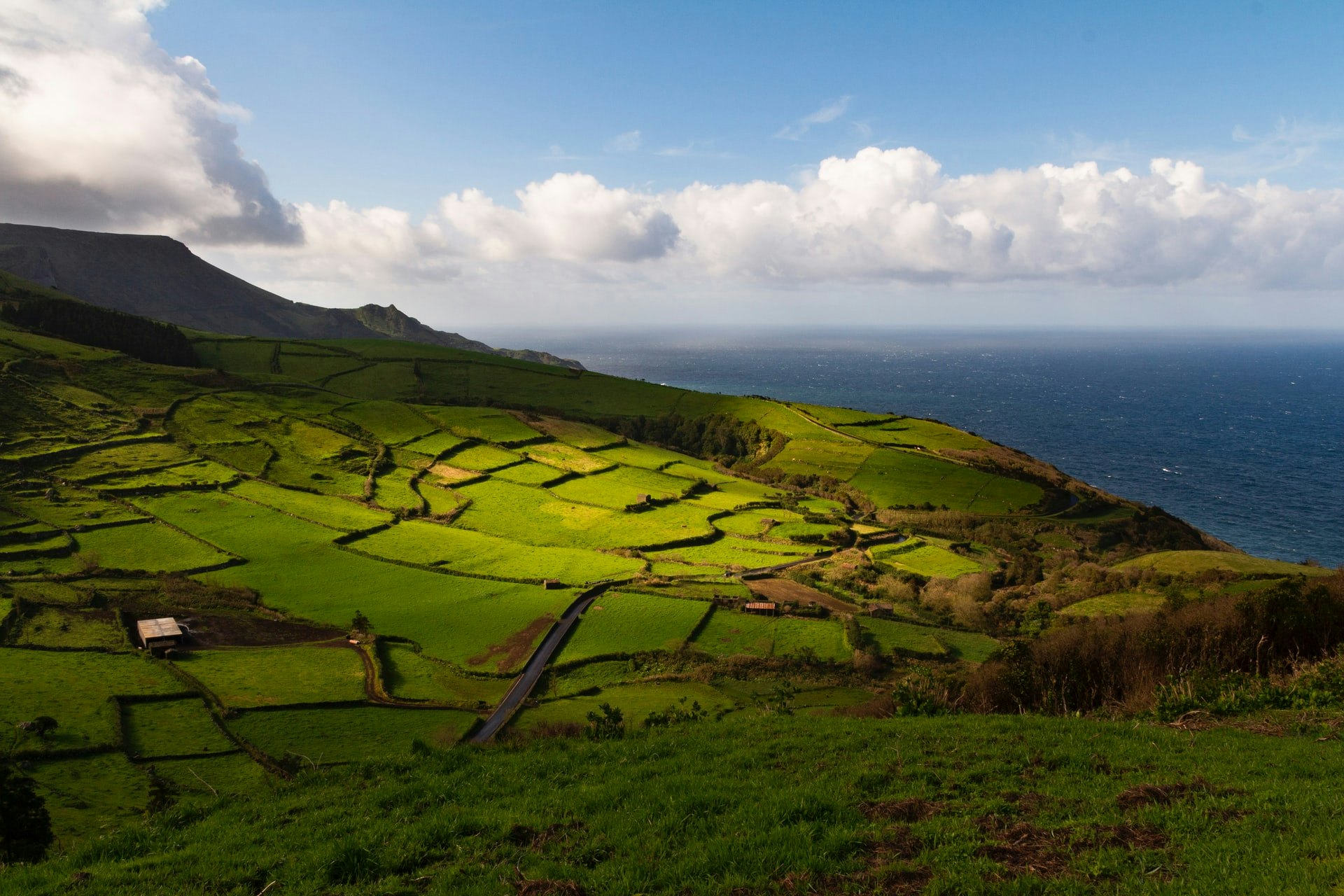 Pico-eiland, Azoren
