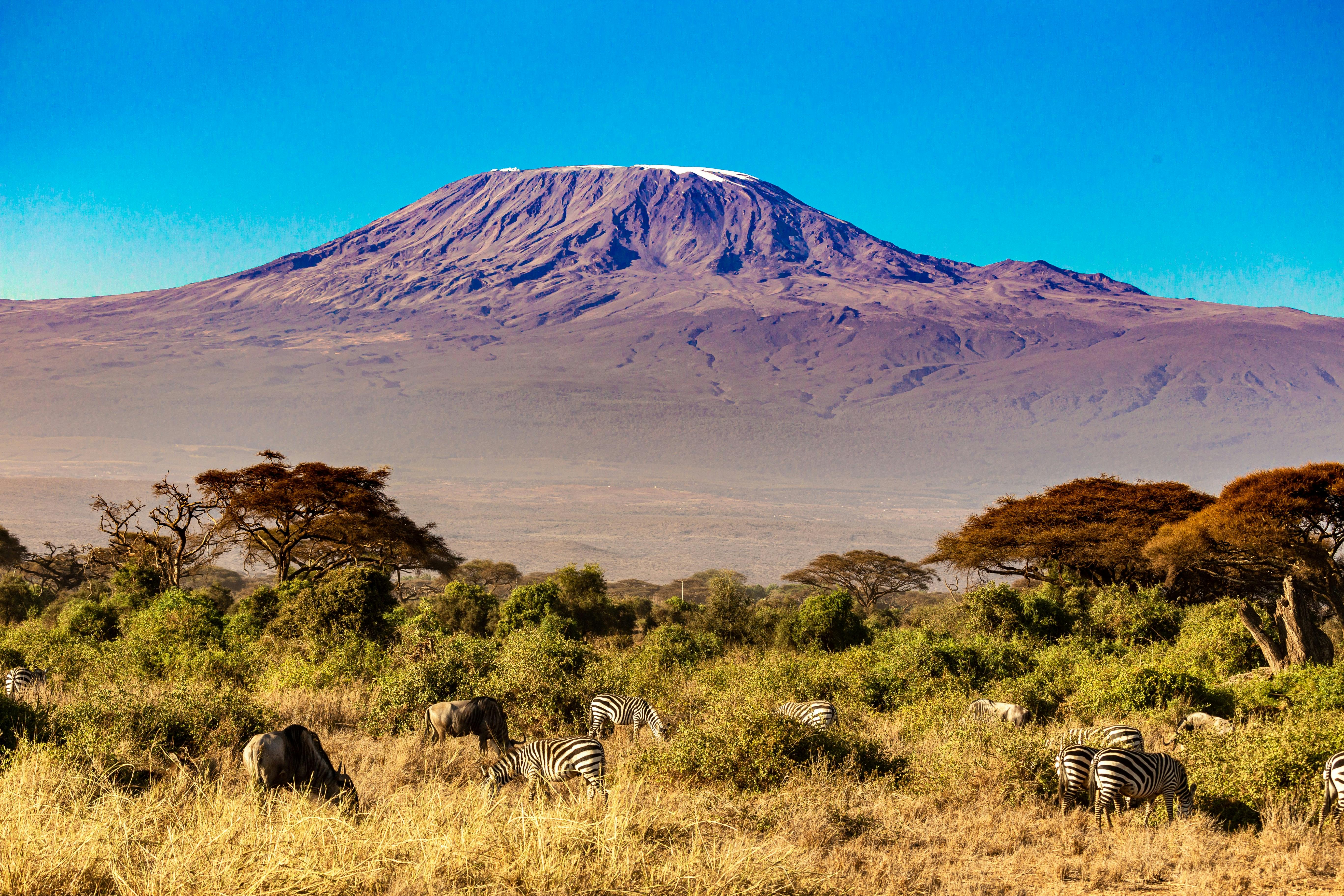 How to get to Kilimanjaro