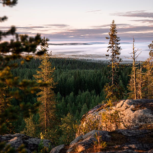 hiking in finland - the best trails | ridestore magazine