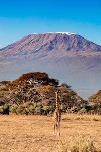 Trekking sul Kilimanjaro | Ridestore Magazine