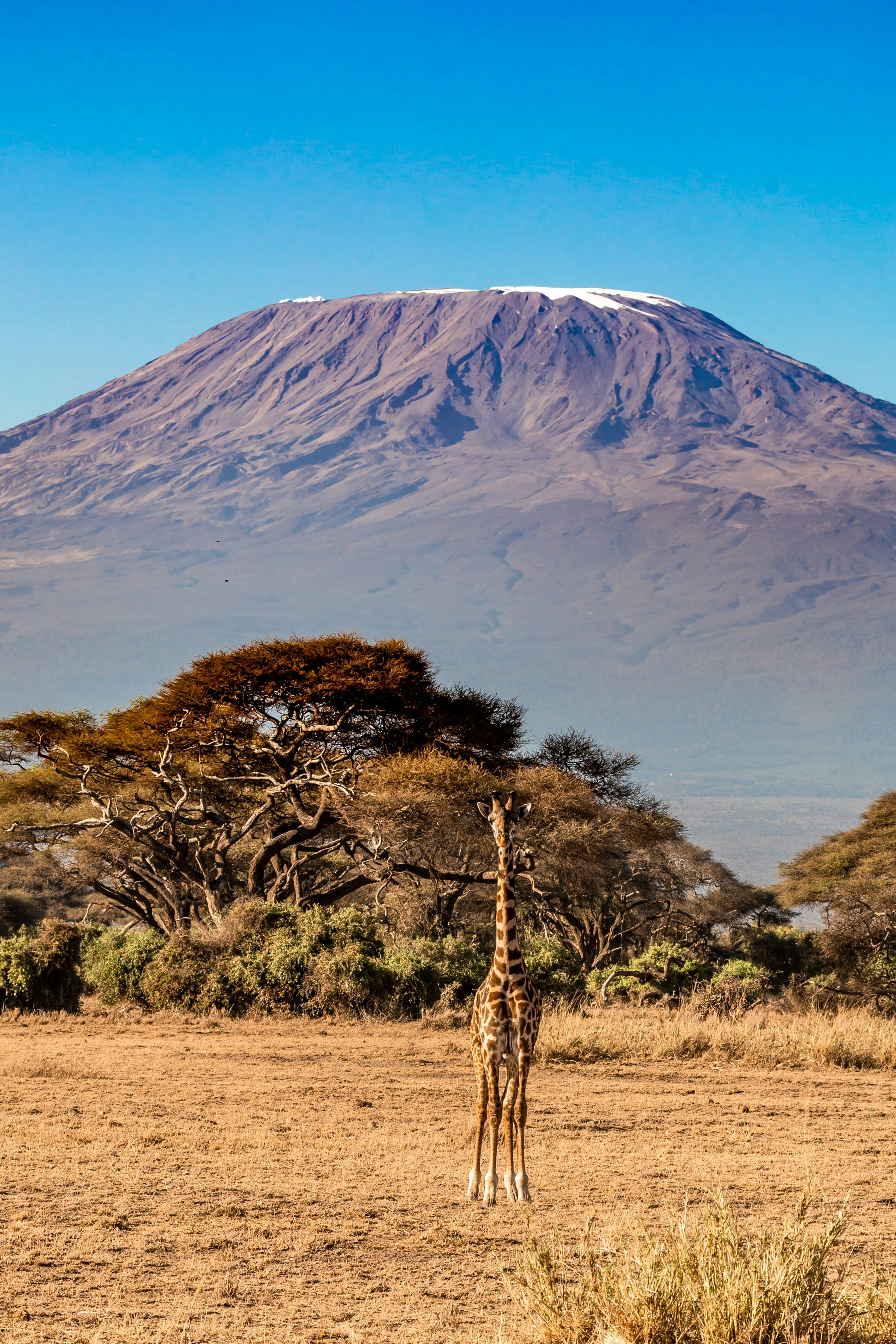 Trekking sul Kilimanjaro | Ridestore Magazine