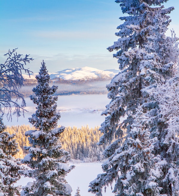 De bästa skidorterna i Sverige | Dope Magazine