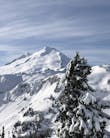 The 12 best West Coast ski resorts | Dope Magazine